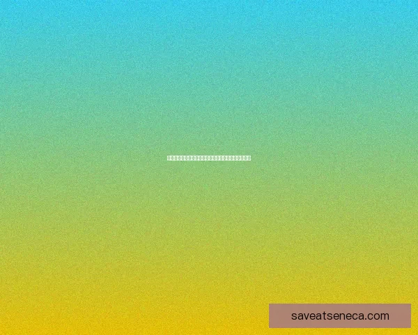 梦幻西游无底洞加点攻略与技巧详解助你轻松提升战力